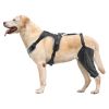 Dog Knee Brace for Left Leg Adjustable ACL Dog Leg Support Brace Pain Relief - XL-Left Leg
