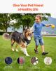 Dog Knee Brace for Right Leg Adjustable ACL Dog Leg Support Brace Pain Relief - M-Right Leg