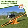 PawHut Wooden Dog Agility Seesaw, Training and Exercise Equipment, Weather Resistant, 71" L, Natural - Natural
