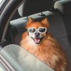 Pet Goggles Dog UV Protection Glasses Waterproof Windproof Anti-Fog Eye Glasses - White