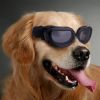 Pet Goggles Dog UV Protection Glasses Waterproof Windproof Anti-Fog Eye Glasses - Black